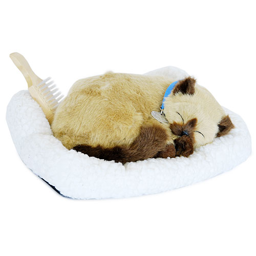 Кошка сиамская с дыханием Petz 2009 г ; Упаковка: коробка инфо 728b.