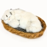 Кошка в корзине C284-bw Petz 2009 г ; Упаковка: коробка инфо 13729b.