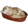 Кошка в корзине C284-gy Petz 2009 г ; Упаковка: коробка инфо 13730b.