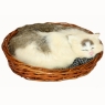 Кошка в корзине С267-bw Petz 2009 г ; Упаковка: пакет инфо 13734b.