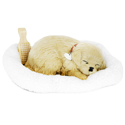 Золотой ретривер с дыханием Petz 2009 г ; Упаковка: коробка инфо 2949c.