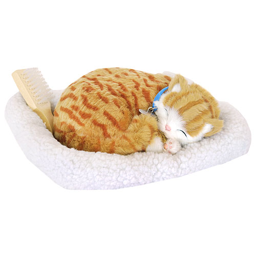 Кошка с дыханием, цвет: оранжевый тэбби Petz 2009 г ; Упаковка: коробка инфо 2952c.