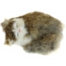 Спящий котенок С238-gy Petz 2009 г ; Упаковка: коробка инфо 9012c.