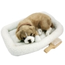 Боксер с дыханием Подарки, сувениры, оригинальные решения Perfect Petzzz 2010 г ; Упаковка: коробка инфо 7683d.
