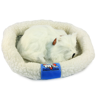 Вест хайленд с дыханием Подарки, сувениры, оригинальные решения Perfect Petzzz 2010 г ; Упаковка: коробка инфо 7686d.